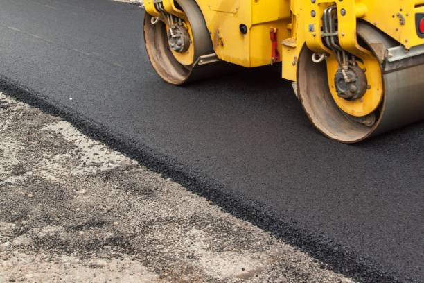 Best Custom Driveway Pavers  in Bay Pines, FL